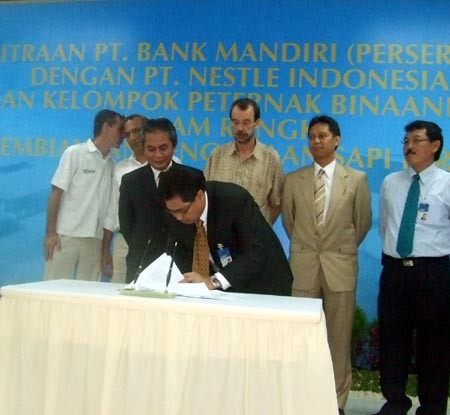 Mandiri Kucurkan Rp 25 Miliar untuk 2.000 Ekor Sapi